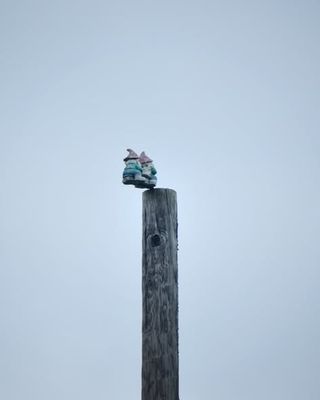 Telephone pole